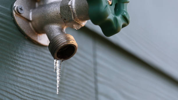 Best Sewer Line Repair  in Homerville, GA